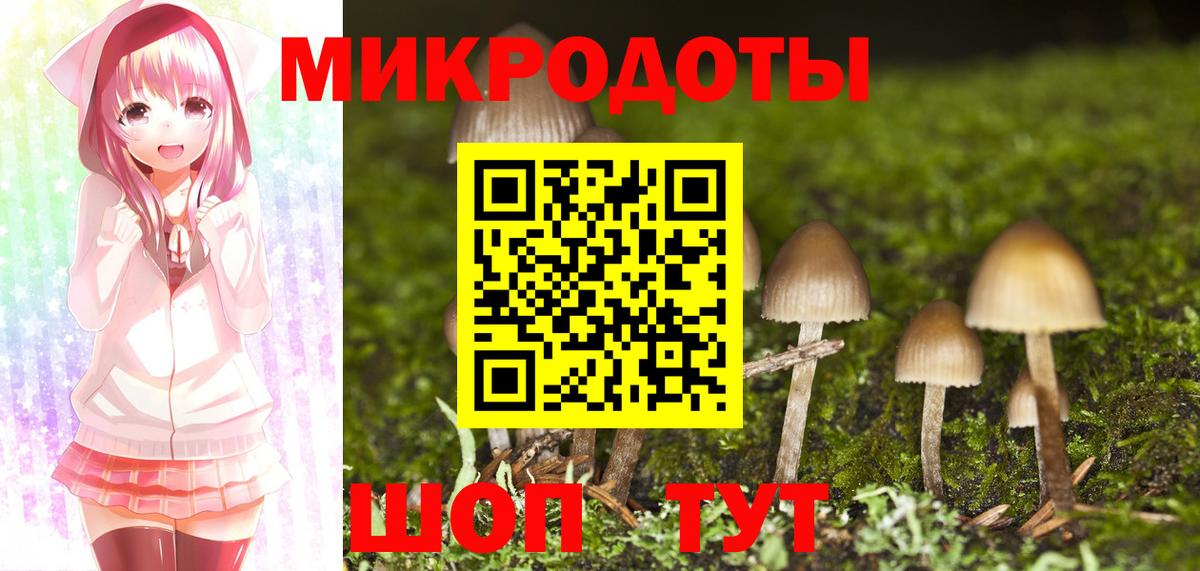где купить наркоту  Галлюциногенные грибы Psilocybine cubensis  Вход с VPN  Санкт-Петербург 